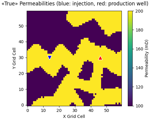 «True» Permeabilities (blue: injection, red: production well)